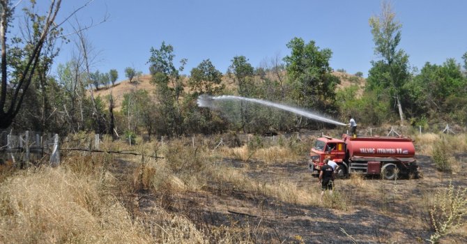 Hobi bahçesinde çıkan yangın 8 dönüm yulaf tarlasını küle çevirdi