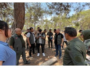 Erdemli Orman İşletmesinde ’Yenilikçi Barkod Sistemi Eğitimi’ verildi