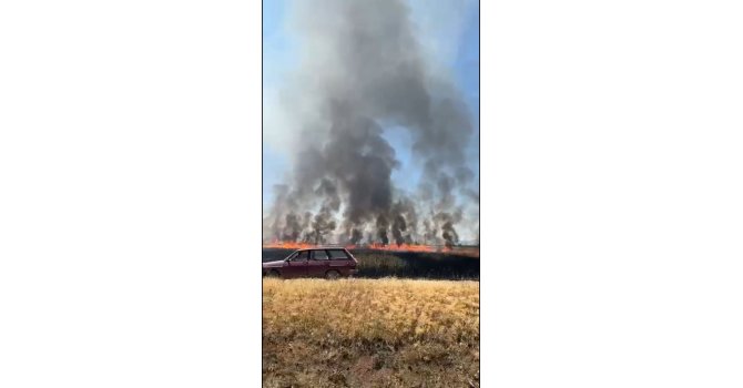 Traktörün kepçesinin elektrik tellerine temas etmesi ile çıkan yangında 50 dönüm arazi yandı