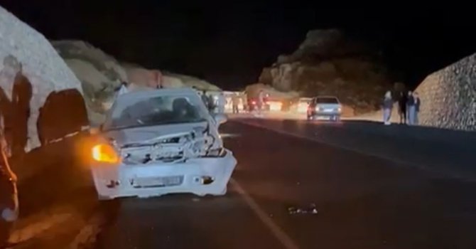 Otomobil domuza çarptı