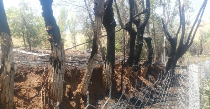 Bir kıvılcımla yangını başlattı, alevlerin büyüdüğünü görünce kaçtı