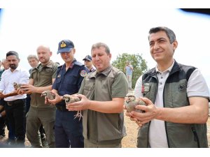 Adana’da doğaya 500 keklik salındı