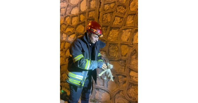 Duvar arasında mahsur kalan yavru kediyi itfaiye kurtardı