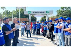Toros Tarım işçileri 56 gündür grevde