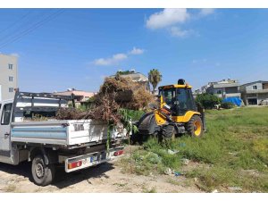 Akdeniz’de moloz ve yabani ot temizliği sürüyor