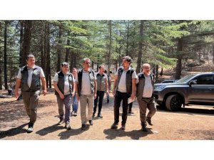 Mersin Orman Bölge Müdürü Gülnar’daki sahalarda incelemelerde bulundu