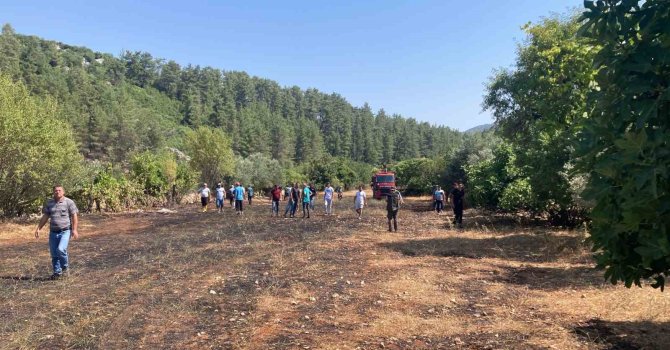 Bucak’ta çıkan arazi yangınında 1 dönüm alan yandı
