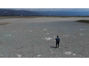 Kuraklığın etkisiyle çöle dönen Milleyha’da kuş gözlemcileri gelecekten ümitli