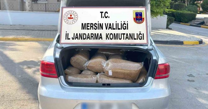 Mersin’de 100 kilo kaçak tütün ele geçirildi