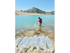 Korkuteli’nde 60 bin sazan balığı doğaya bırakıldı