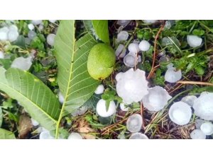 Mersin’de şiddetli dolu yağışı etkili oldu