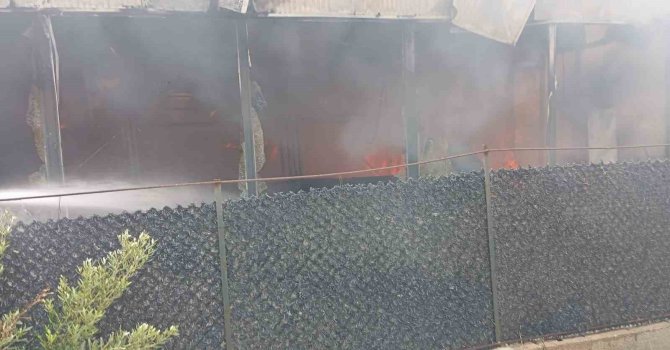 Alevlerin yükseldiği kafe kullanılmaz hale geldi