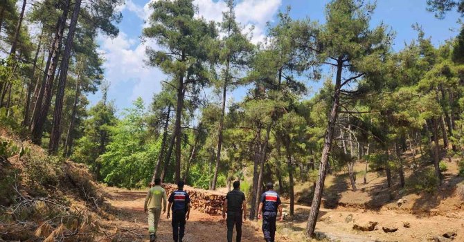 Mersin jandarmasından ormanlara sıkı koruma