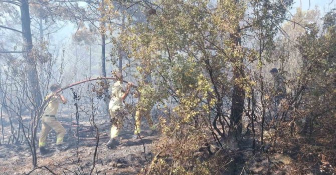 Antalya’daki orman yangınında 2,8 hektarlık alan zarar gördü
