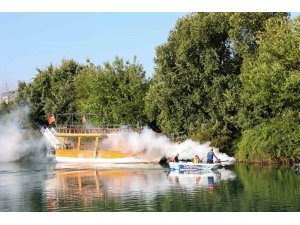 İstilacı tür olarak biliniyor, yumurtaları altı ay kuraklığa dayanabiliyor