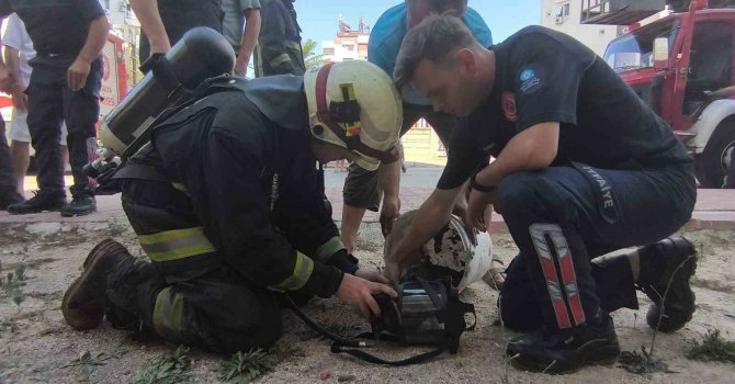 Kedisi içerdeyken evi evi yanan Ukraynalı kadın yaşadığı şoku anlattı
