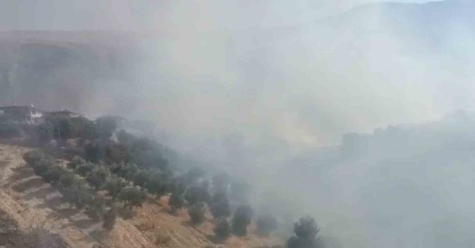 Antalya’da evlere yakın bölgede yangın