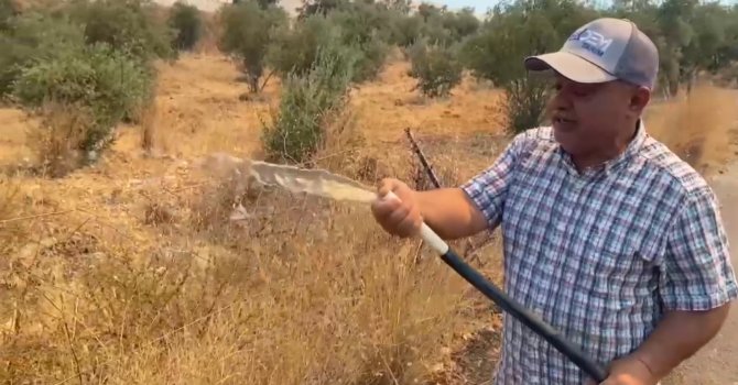 Antalya’da alevlerin yaklaştığı mahallede vatandaşlar hortumlarla nöbette