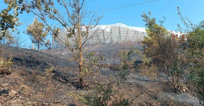 Alanya’da makilik alanda çıkan yangın kısa sürede kontrol altına alındı