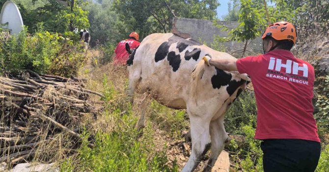 Antalya’da yerleşim yerlerini tehdit eden orman yangınında bazı evler tahliye edildi
