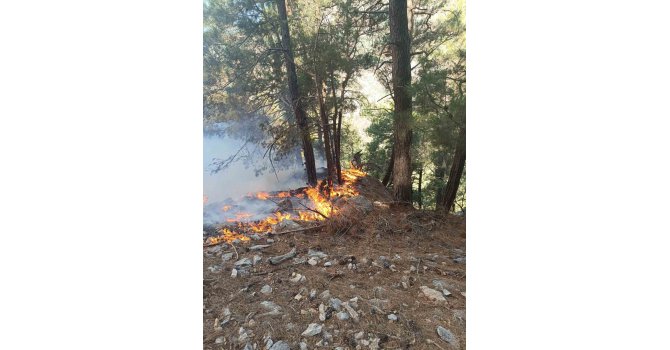 Kozan’da ormanlık alanda yangın çıktı