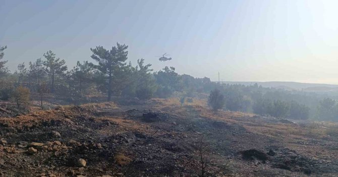 Mersin’deki orman yangını: Havadan müdahale başladı