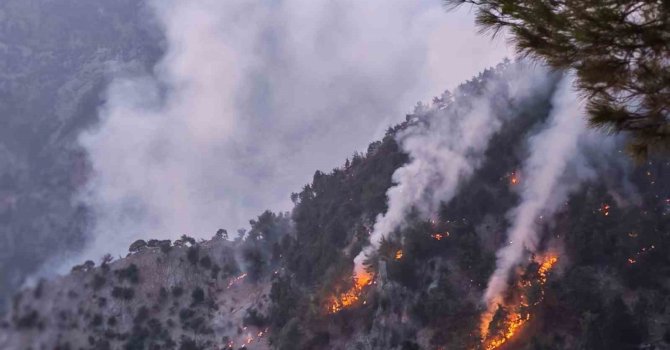 Kozan’daki orman yangını kısmen kontrol altında