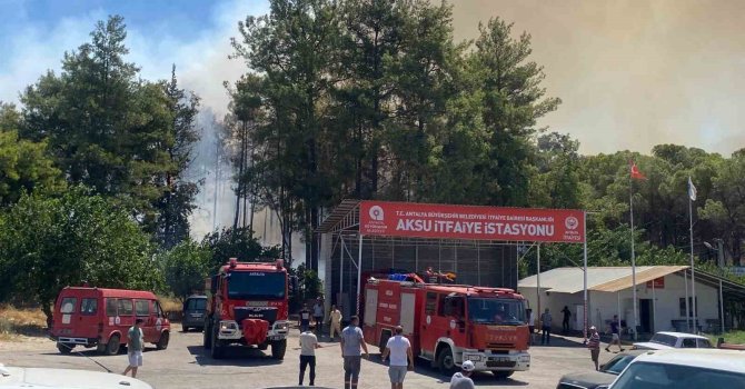 Antalya’da ormanlık alanda yangın paniği