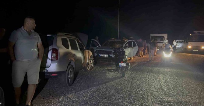 Yaban keçileri yangın sebebiyle doğal yaşam alanlarından kaçarken görüntülendi