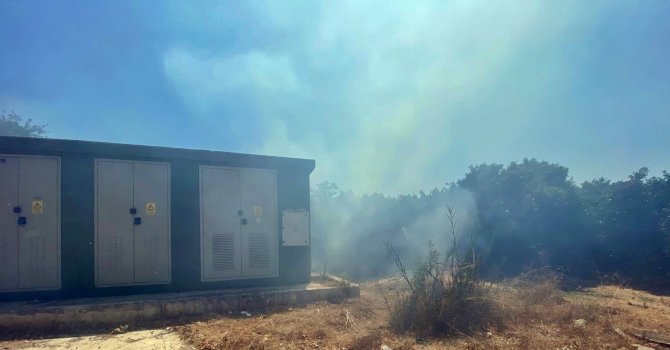 Lüks villalara yakın noktada çıkan yangın korkuttu