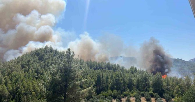Serik’te orman yangını