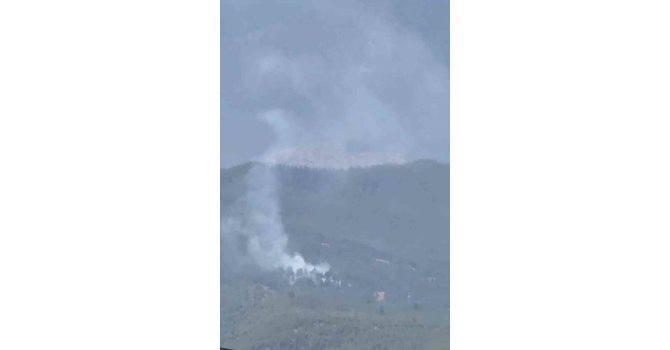 Adana Aladağ’da orman yangını çıktı