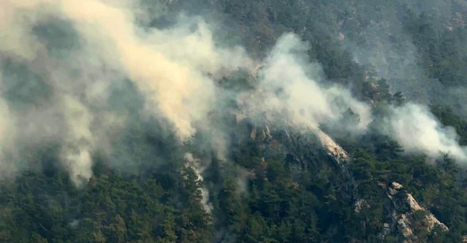 Adana’daki orman yangınlarına 3 tutuklama