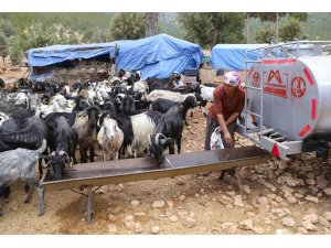 Belediyenin sulama tankeri desteği Mersin’deki Yörüklerin yüzünü güldürdü