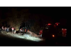 Kemer’de orman yangını kısa sürede söndürüldü