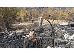 Silifke’deki orman yangını büyük ölçüde kontrol altına alındı