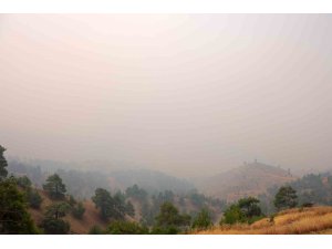 Kahramanmaraş’taki orman yangınında 4 ev yandı, 20 ev tahliye edildi