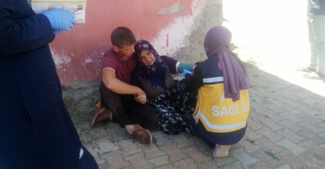 Komşusunun odunluğunun yanışını gören yaşlı kadın panikleyip baygınlık geçirdi