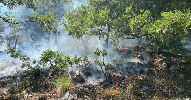 Osmaniye’nin Düziçi ilçesinde orman yangını başladı