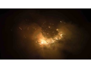 Silifke’deki orman yangını söndürüldü, hasar tespit çalışmaları başladı