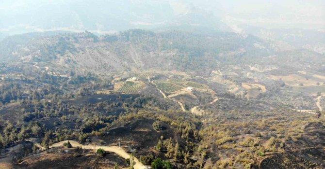 Kahramanmaraş’ta orman yangınına müdahale 3’üncü gününde de sürüyor