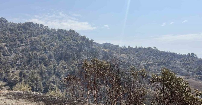 Kahramanmaraş’ta bin 500 hektar alanı etkileyen orman yangını kontrol altına alındı