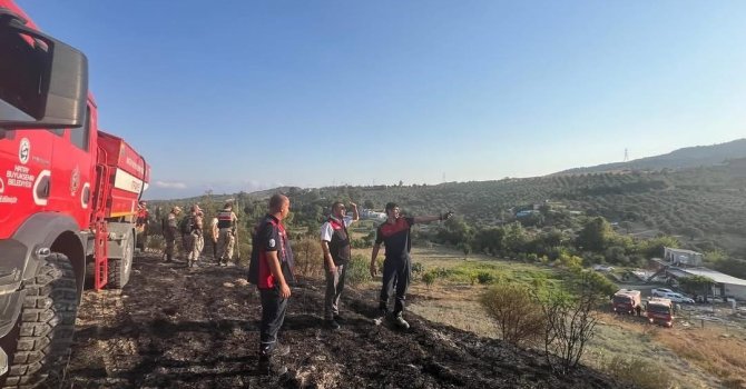 Defne’de makilik alanda yangın çıktı