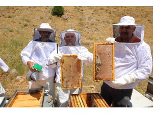 Kahramanmaraş’taki Engizek Yaylası’nda bal mesaisi