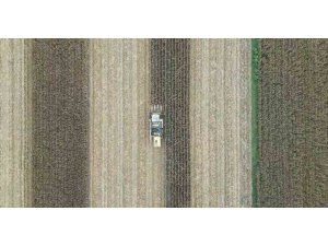 Adana’da mısır hasadı başladı