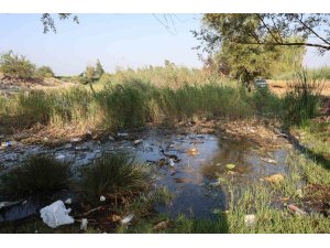 Göletler çöple doldu, muhtar isyan etti: "Kirletecekseniz gelmeyin"