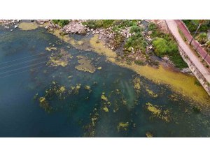 Seyhan Nehri yosun akınına uğradı, çöplerle doldu