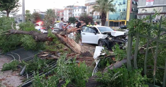 Ortalığın savaş alanına döndüğü kazada kimsenin burnu bile kanamadı