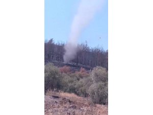 Yangının küle çevirdiği ormanlık alanda çıkan hortumlar kamerada