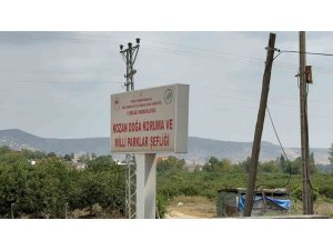 Ebabil kuşunu esnaf hayatta tutmaya çalıştı